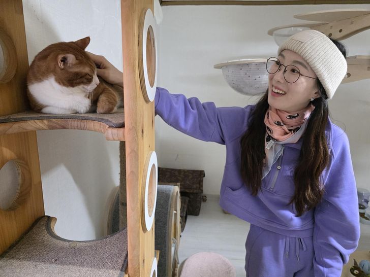 Julie Choi of YongsanCats with rescued cats at the shelter in Seoul